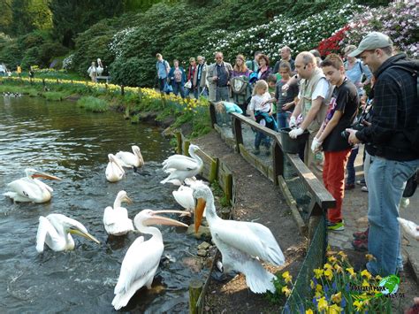 Über den Vogelpark .